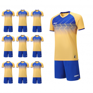 Футбольний набір на команду Europaw 029 жовто-синій 10 шт